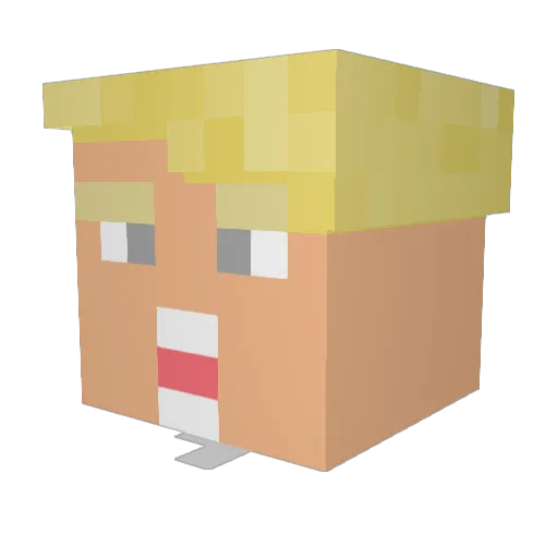 REEPER224 Minecraft avatar head, 3D render