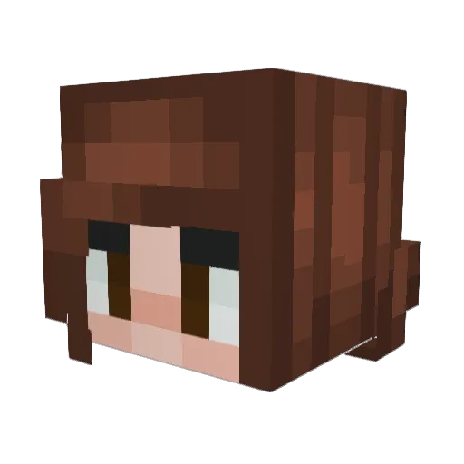 REE_GOD Minecraft avatar head, 3D render