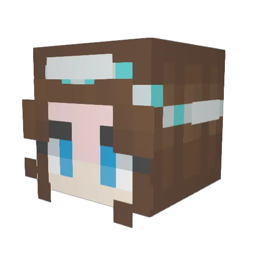 REGANNNNN Minecraft avatar head, 3D render