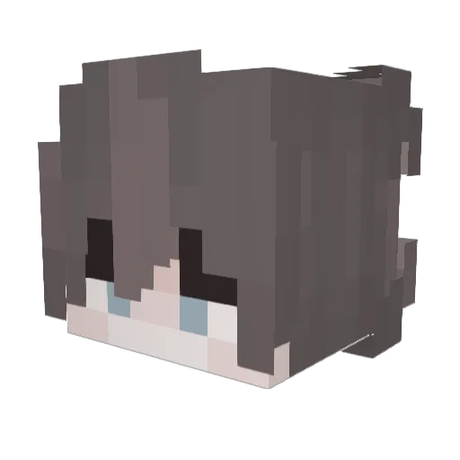 REGRESSlON Minecraft avatar head, 3D render