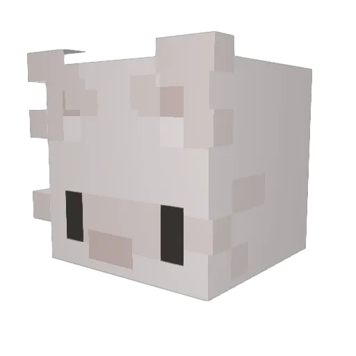 REI5N Minecraft avatar head, 3D render