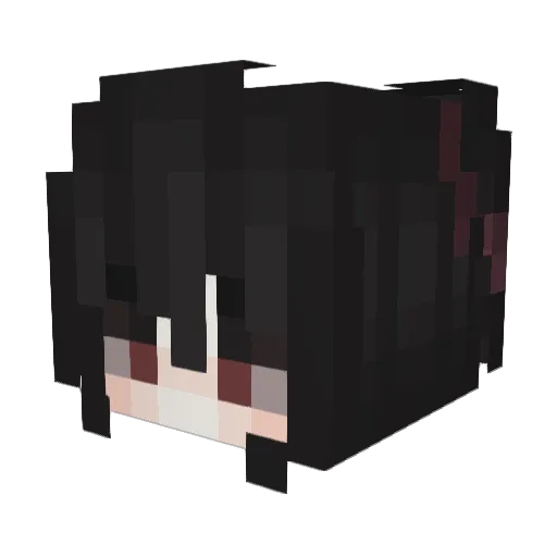 REIDHER Minecraft avatar head, 3D render