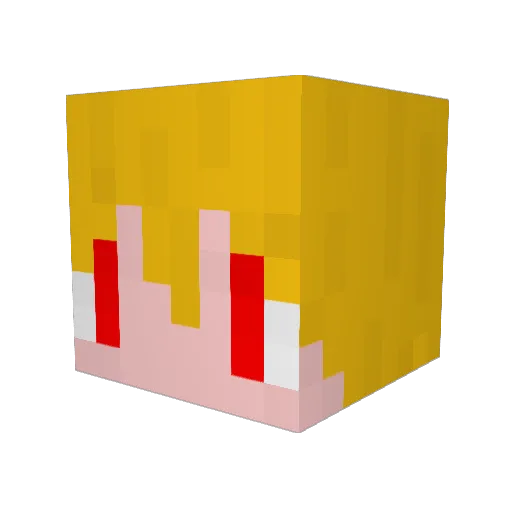 REIKI555 Minecraft avatar head, 3D render