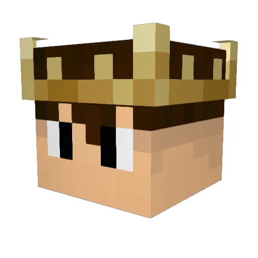 REINANmvp Minecraft avatar head, 3D render
