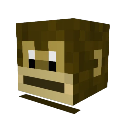 REJECTSOCIETY Minecraft avatar head, 3D render