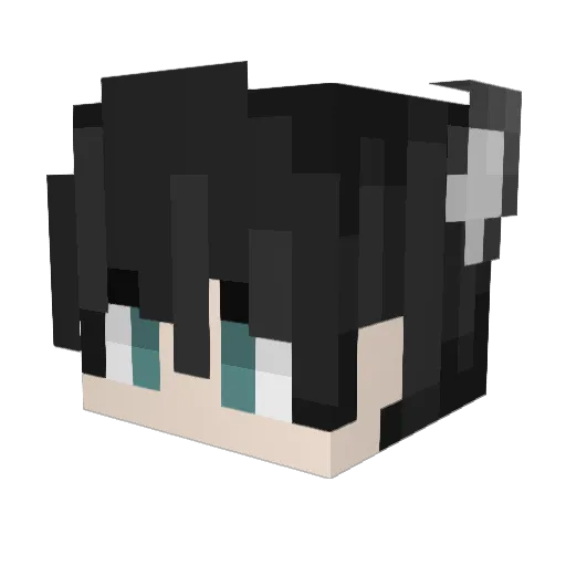 REJUNI_ Minecraft avatar head, 3D render
