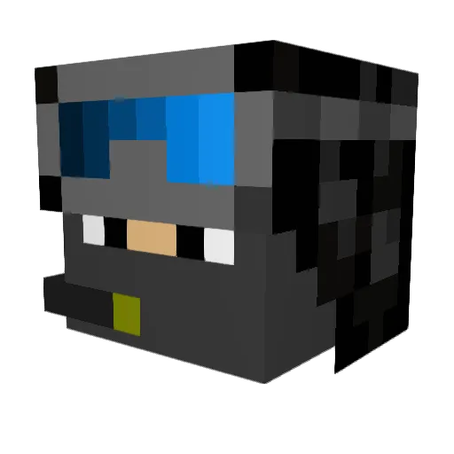 RELAP5E Minecraft avatar head, 3D render