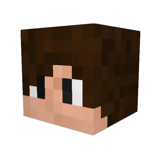 REN1923 Minecraft avatar head, 3D render