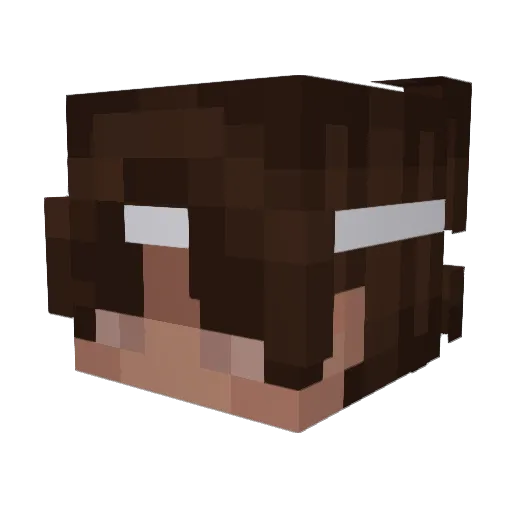 REN_JI Minecraft avatar head, 3D render