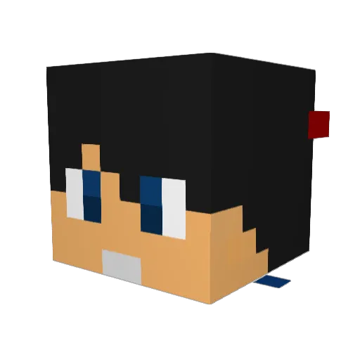 REO0513 Minecraft avatar head, 3D render
