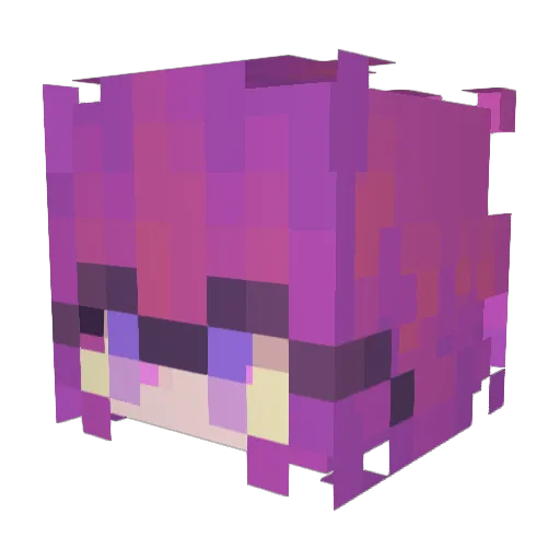 REQUiRE_ Minecraft avatar head, 3D render