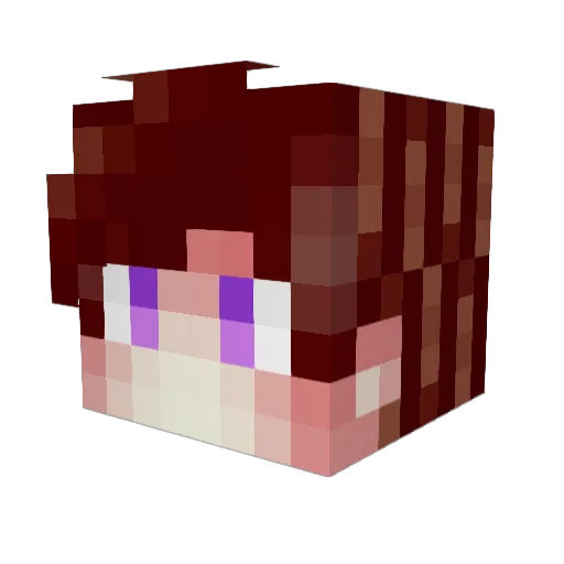RESPECTeeee Minecraft avatar head, 3D render