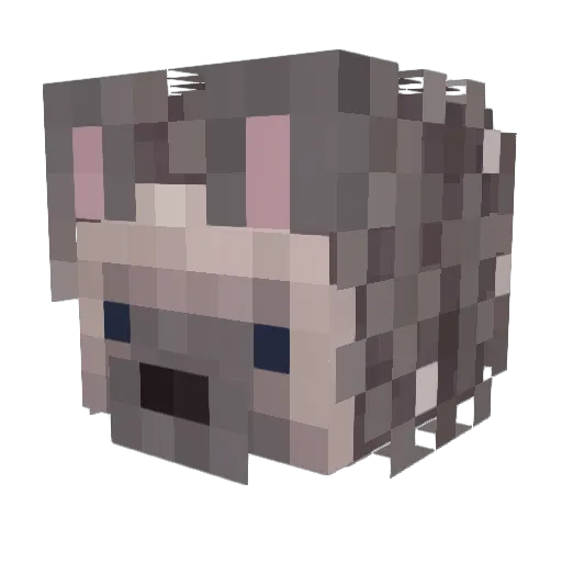 RESlideryb Minecraft avatar head, 3D render