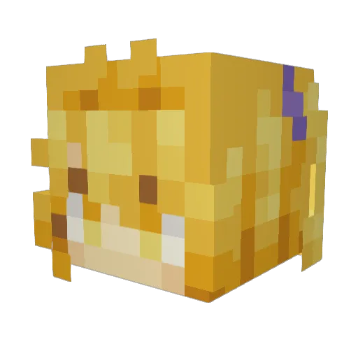 RETSINlS Minecraft avatar head, 3D render