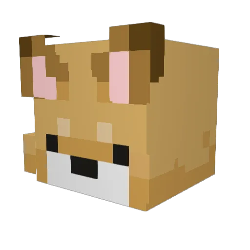 REUMYC Minecraft avatar head, 3D render