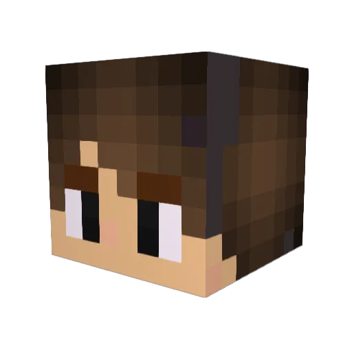 REX9916 Minecraft avatar head, 3D render