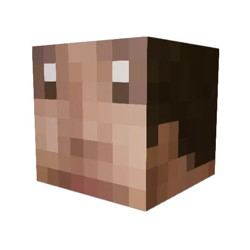 REXIMUS1337 Minecraft avatar head, 3D render