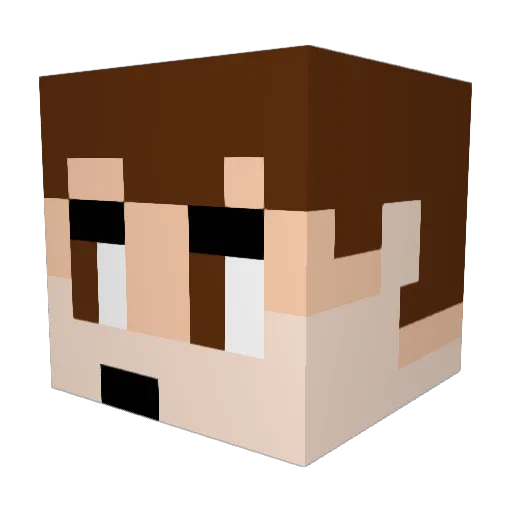REX_tra Minecraft avatar head, 3D render
