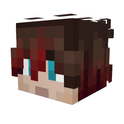 REYNARD21 Minecraft avatar head, 3D render