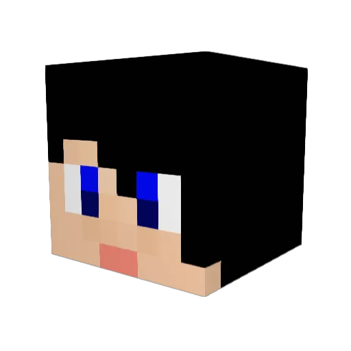 REYPOKEMON999 Minecraft avatar head, 3D render