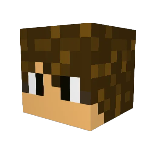 RE_B0OT Minecraft avatar head, 3D render