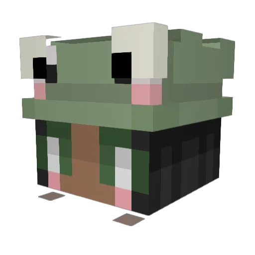 RE_Evolutionn Minecraft avatar head, 3D render