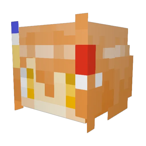 REeEN0 Minecraft avatar head, 3D render
