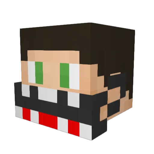 RFX_TmaN Minecraft avatar head, 3D render