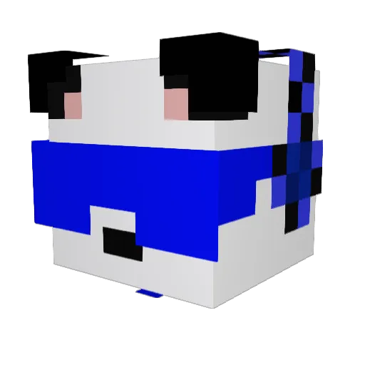 RFranz2309 Minecraft avatar head, 3D render