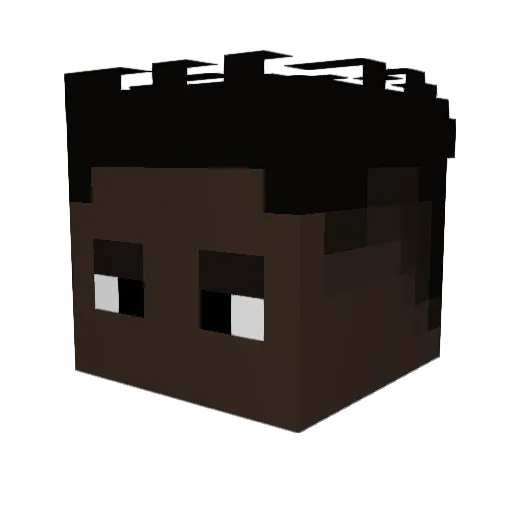 RG11_ Minecraft avatar head, 3D render