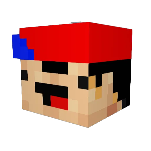 RG4LASTRE Minecraft avatar head, 3D render