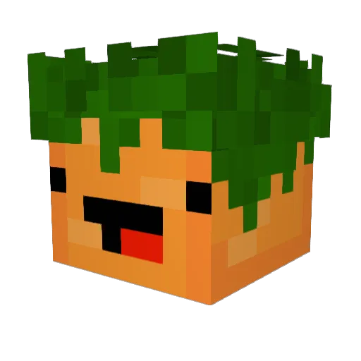 RGBKvrrot671 Minecraft avatar head, 3D render
