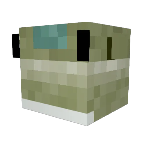 RGBsalmonO Minecraft avatar head, 3D render
