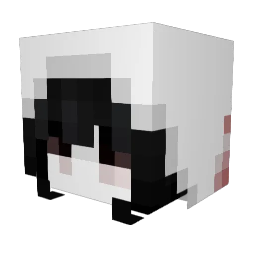 RGHosT1105 Minecraft avatar head, 3D render