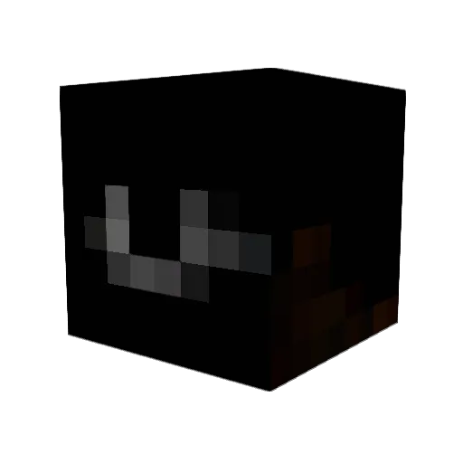 RGLaw Minecraft avatar head, 3D render
