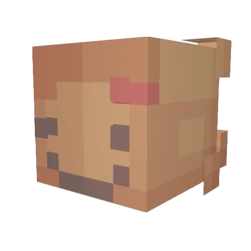RGNLegacy Minecraft avatar head, 3D render