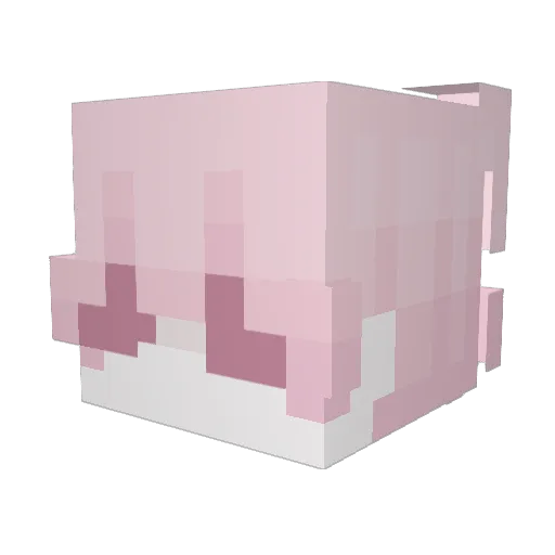 RGZ_2212 Minecraft avatar head, 3D render