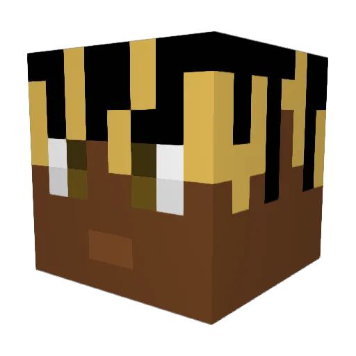 RG_Rob Minecraft avatar head, 3D render