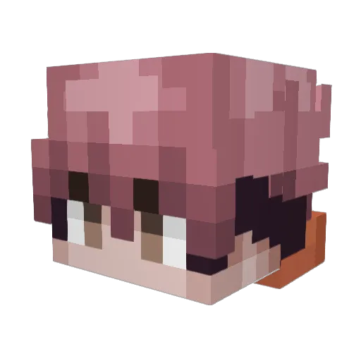 RH8_ Minecraft avatar head, 3D render