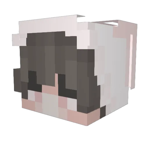 RHIGHLY Minecraft avatar head, 3D render