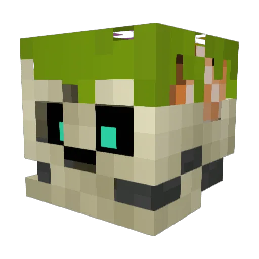 RIBCAAAGE Minecraft avatar head, 3D render