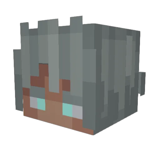 RICCOverse Minecraft avatar head, 3D render
