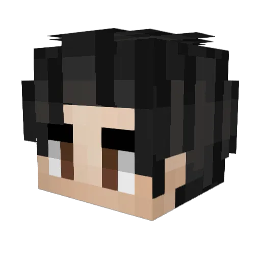 RIC_505 Minecraft avatar head, 3D render