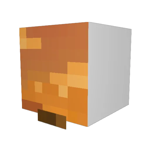 RIELBURGER Minecraft avatar head, 3D render