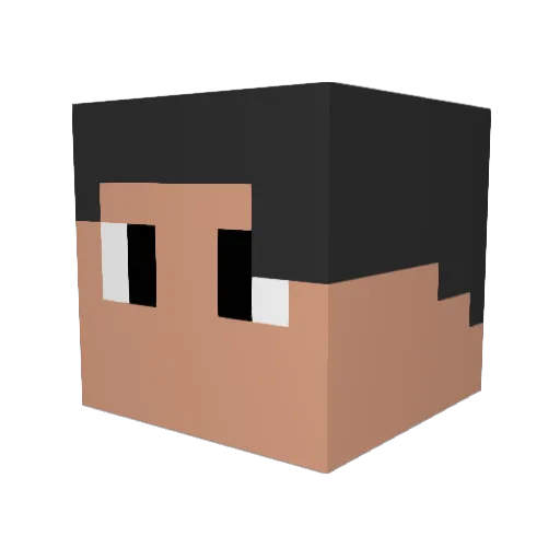 RIKARINGO Minecraft avatar head, 3D render