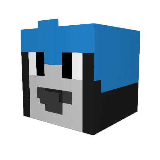 RILEY1989 Minecraft avatar head, 3D render