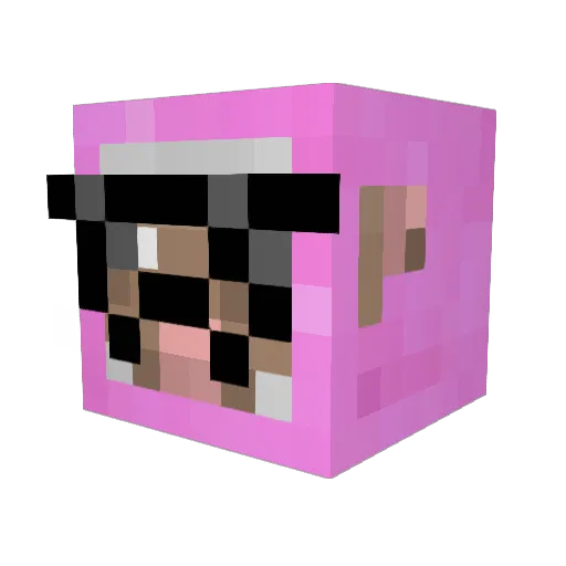 RILEY_JASON Minecraft avatar head, 3D render