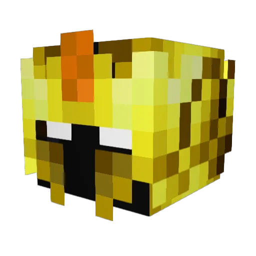RILLIMAister1 Minecraft avatar head, 3D render