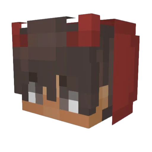 RINT25 Minecraft avatar head, 3D render