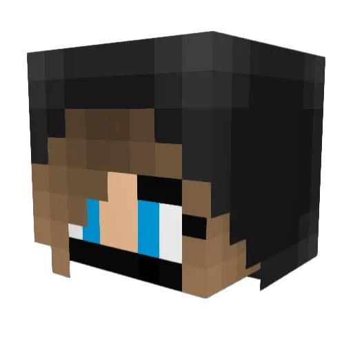 RINZLER012 Minecraft avatar head, 3D render